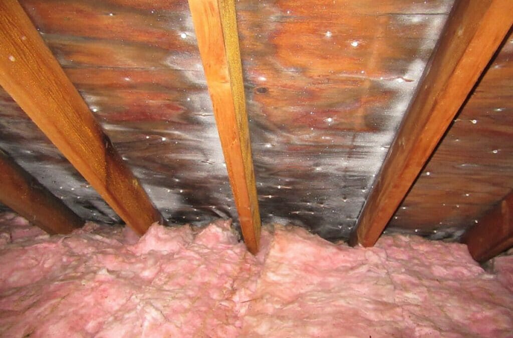 How Can Insulation Extend the Life of a Roof?