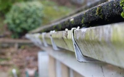 Time to Clean Your Gutters