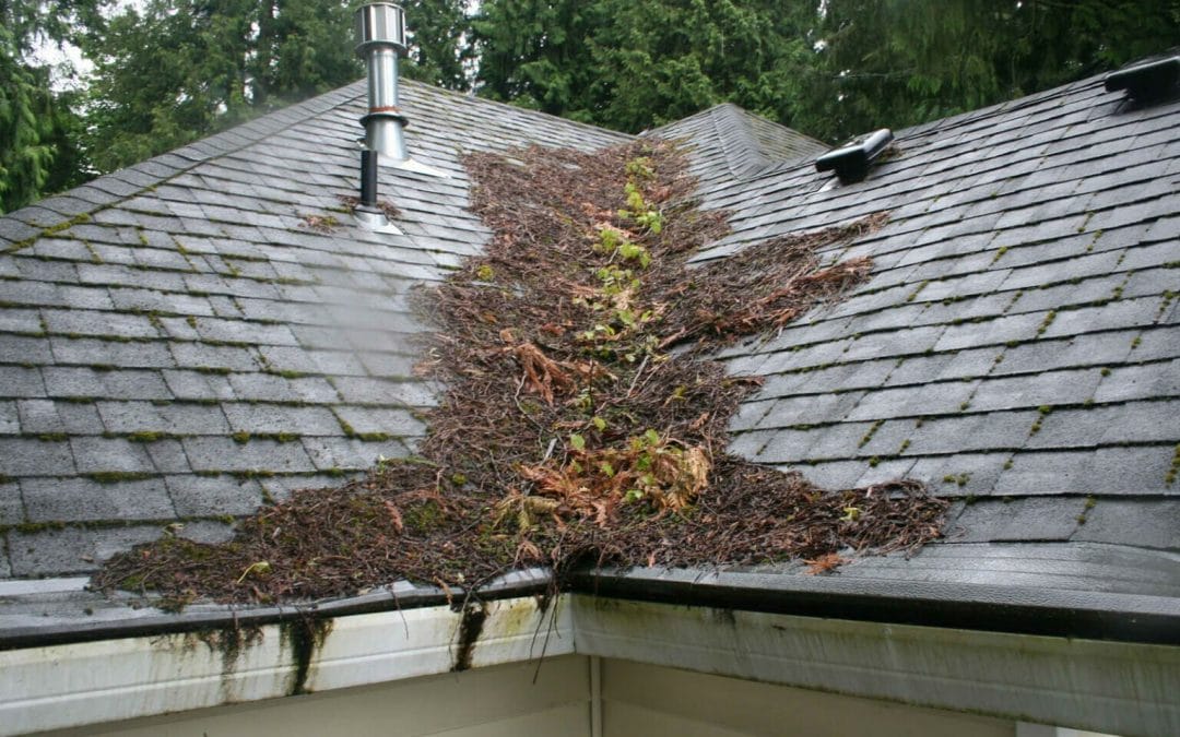 4 Ways To Prepare Your Roof For Spring